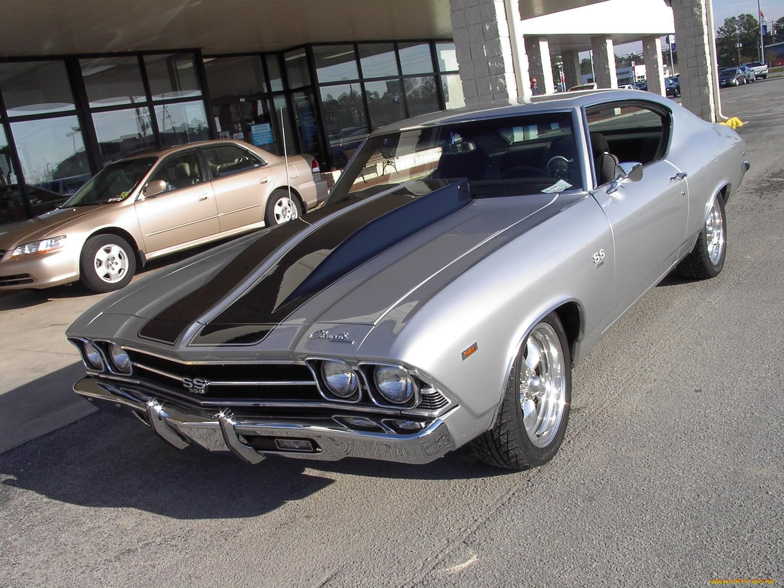 1969, chevrolet, chevelle, ss, classic, , , , 